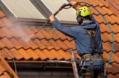 Démoussage et hydrofuge de toiture à Montaigu-la-Brisette